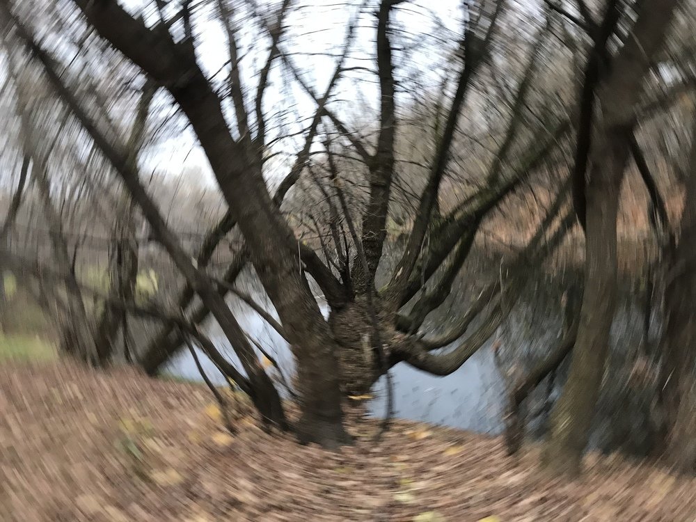 Photograph by svetlana Teteryatnik