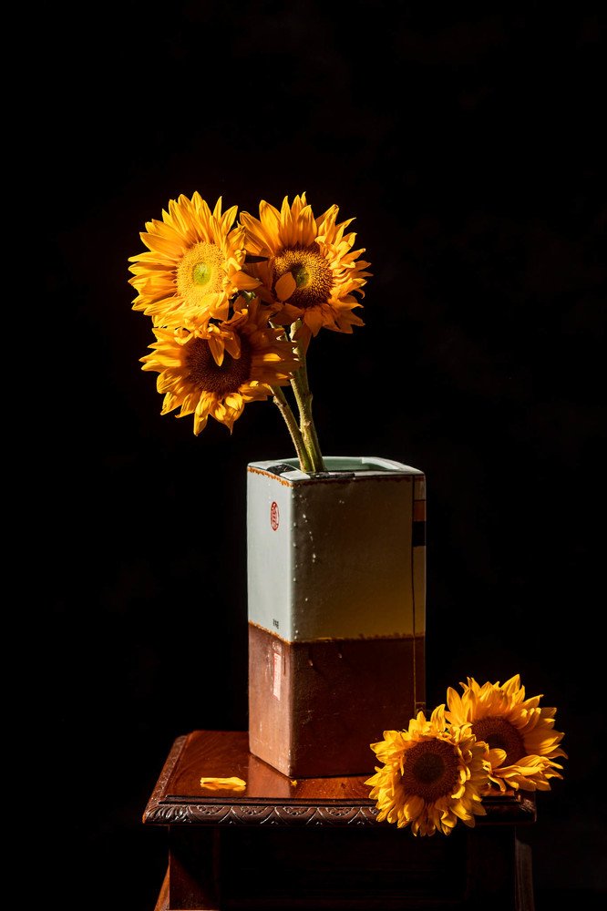 Photograph by Amalya Shandelman