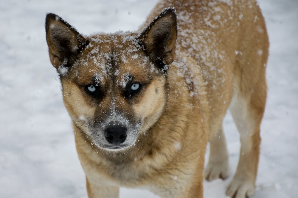 Photograph by Александра Лукашевич