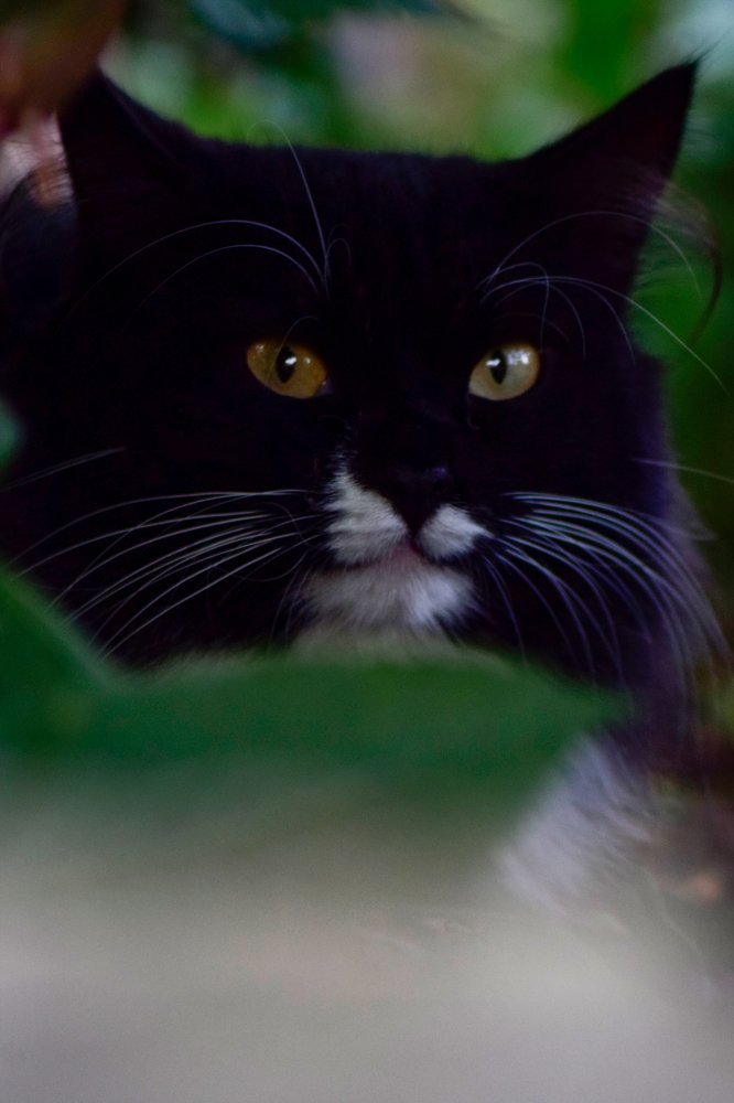 Photograph by Александра Лукашевич