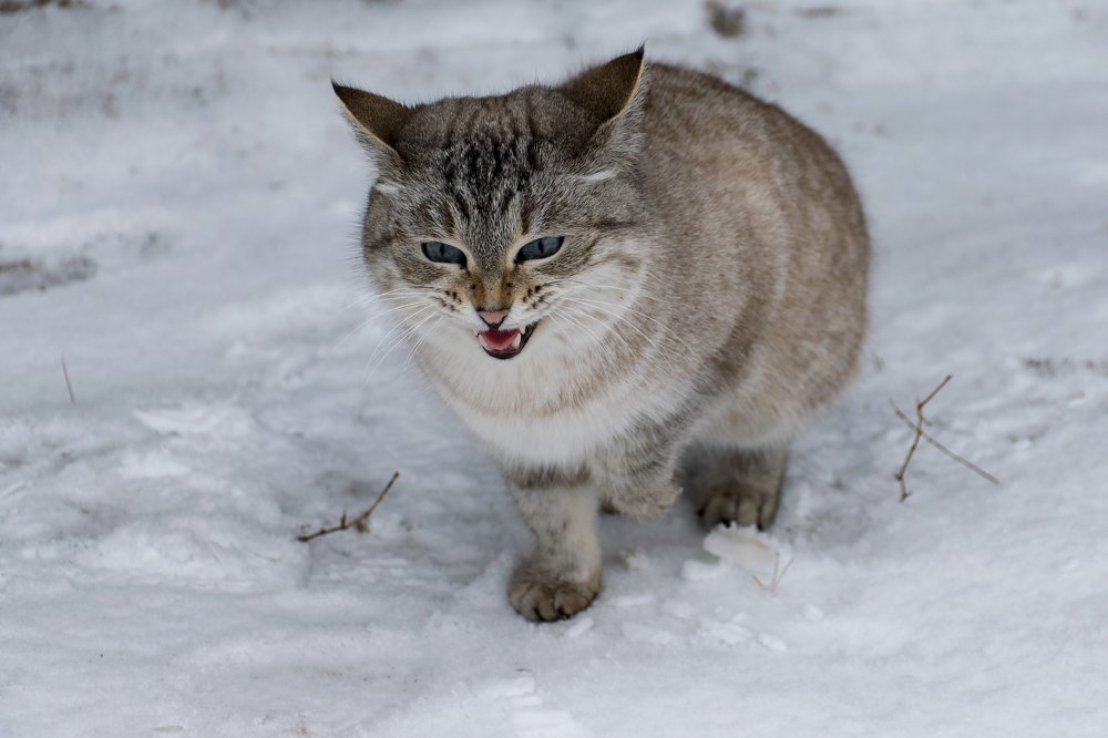 Photograph by Александра Лукашевич