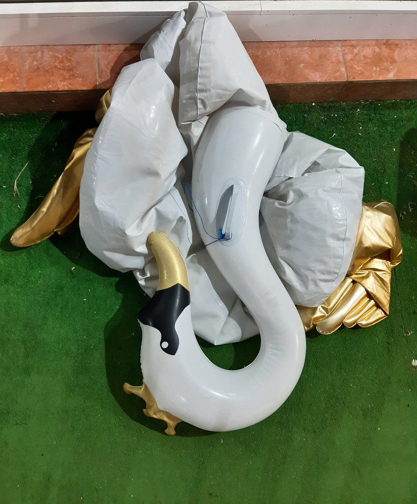 Photograph by Евгения Костина