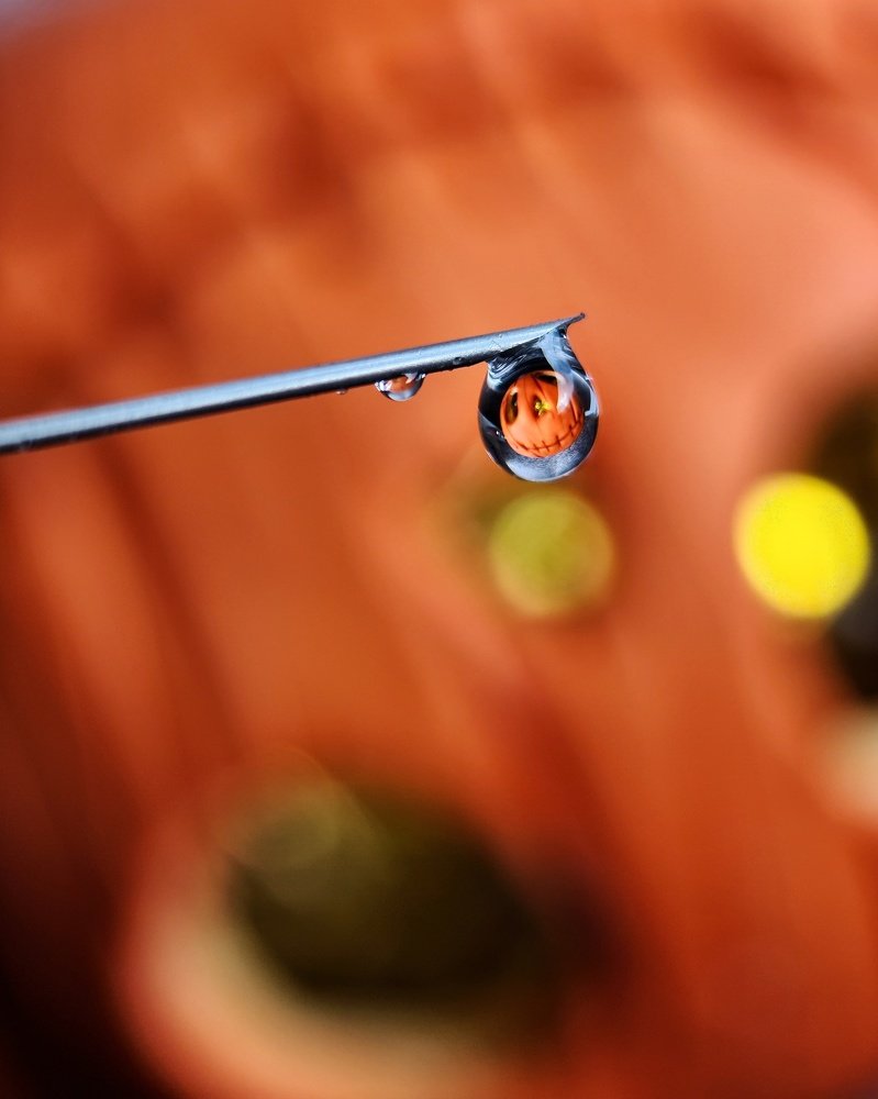 Photograph by Светлана Смирнова