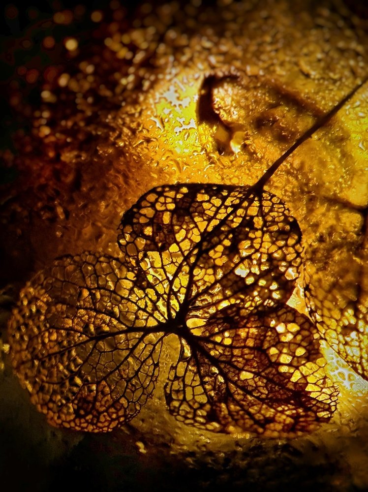 Photograph by Светлана Смирнова