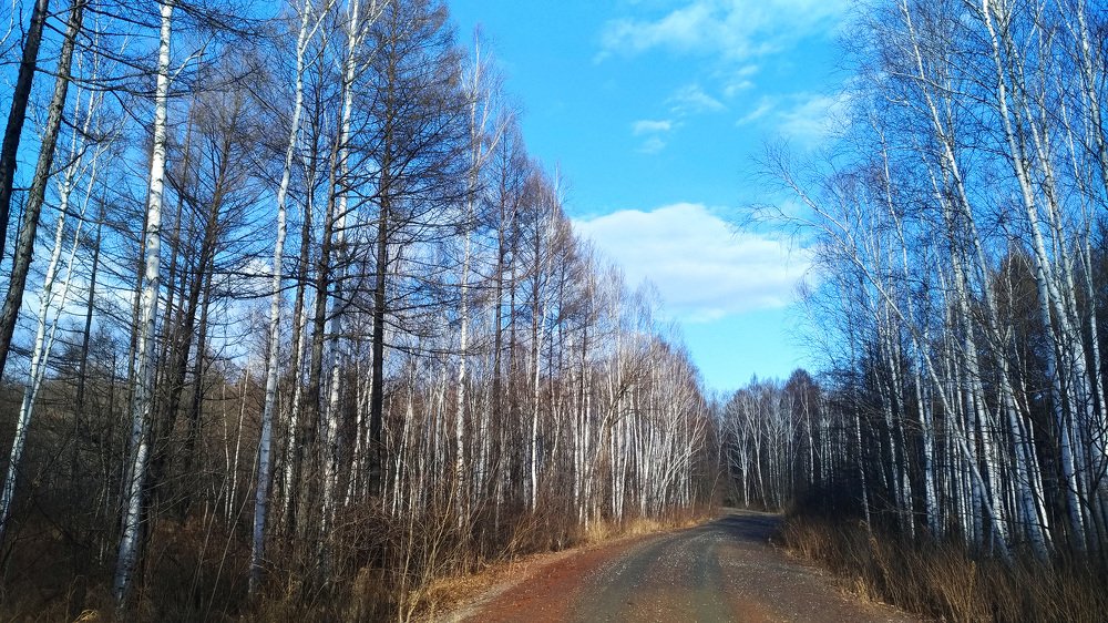 Photograph by Svetlana Victorovna Kibyakova