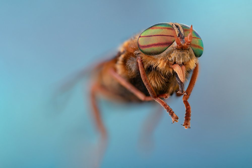 Photograph by Сергей Романченко