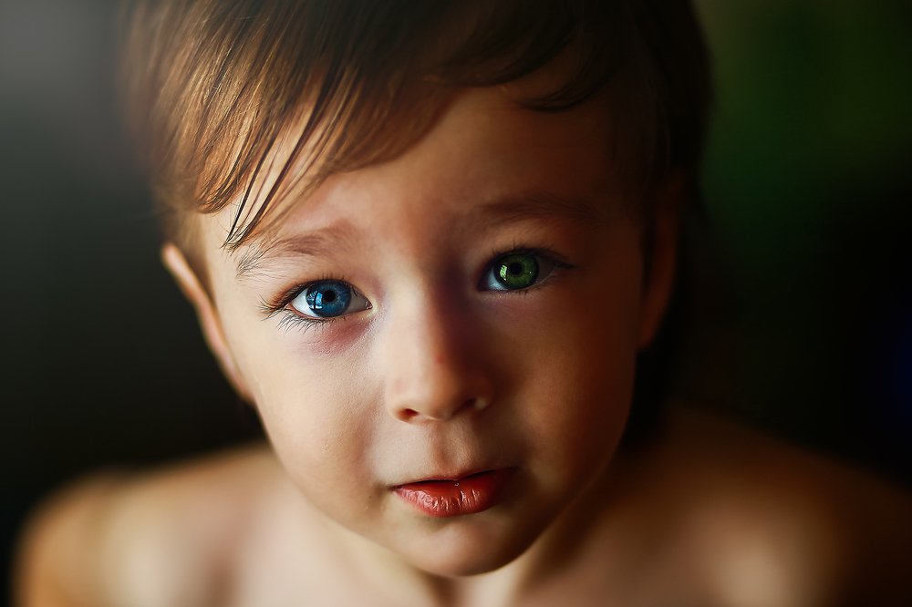 Photograph by Светлана