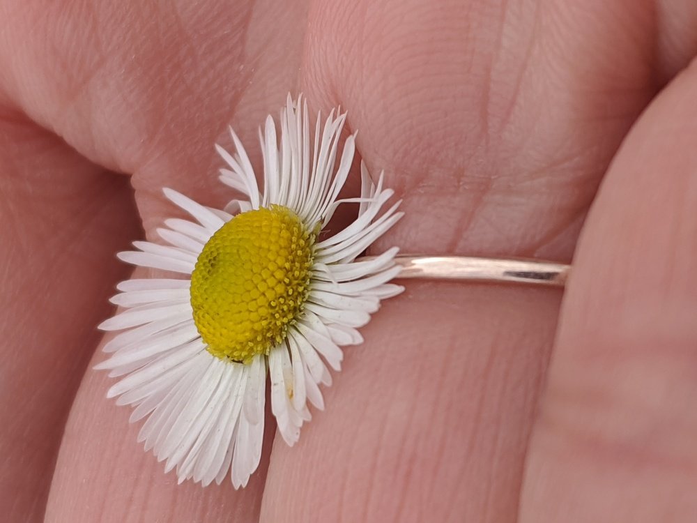 Photograph by Луиза Баширова