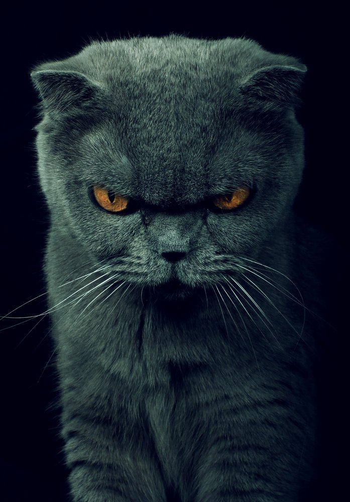 Photograph by Александр Замятин