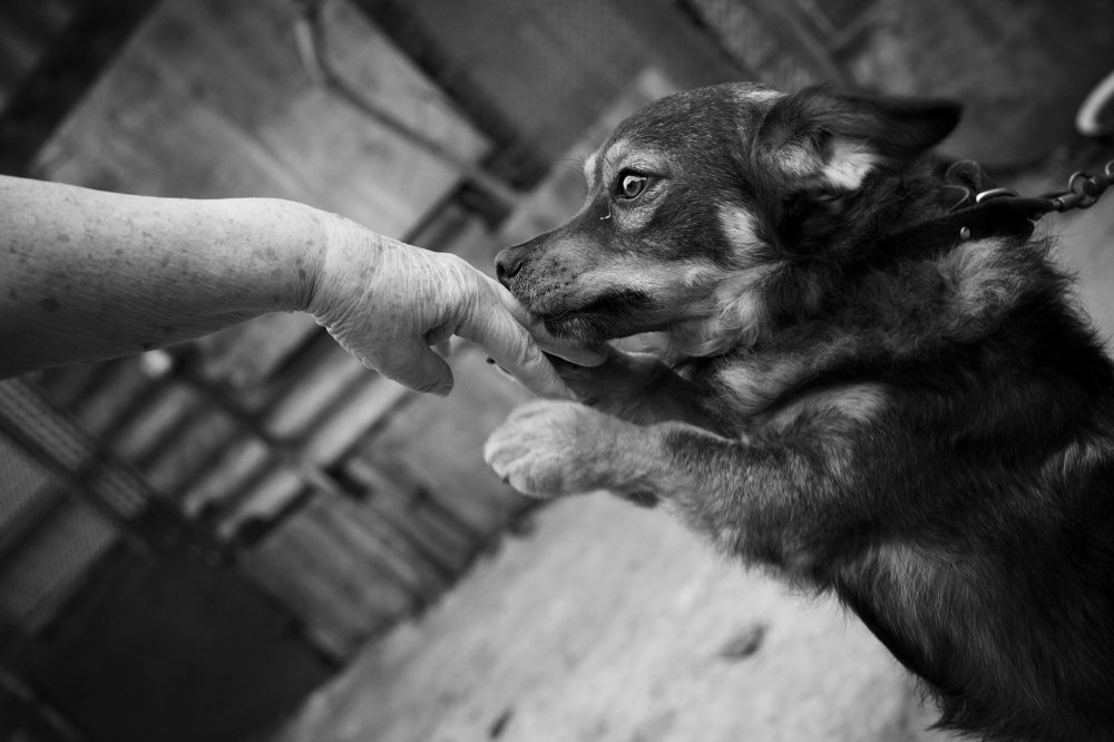 Photograph by Александр Замятин