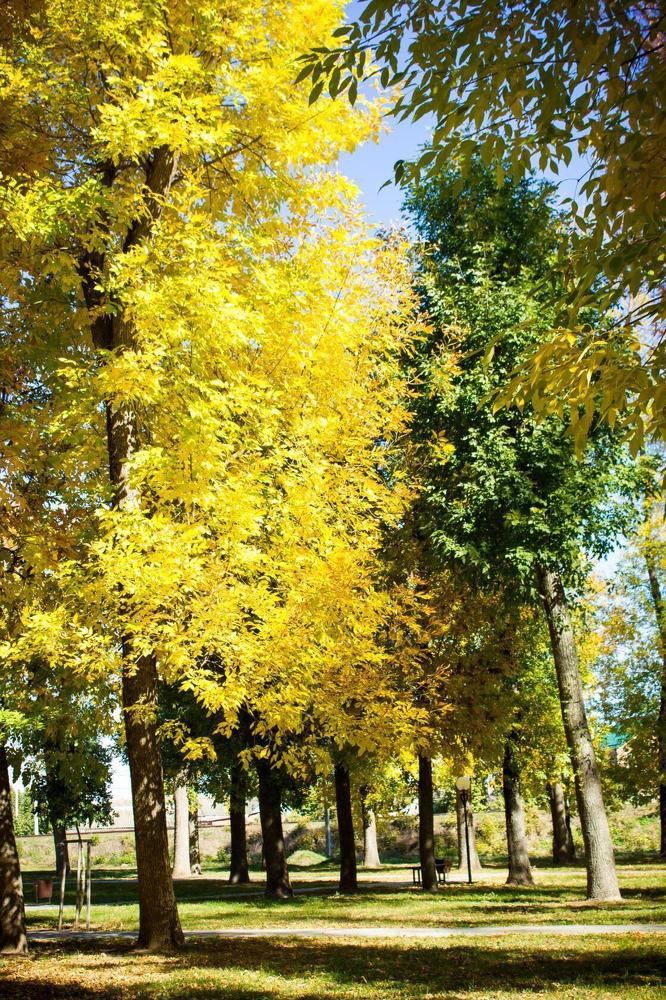 Photograph by Оксана Тонкошкурая