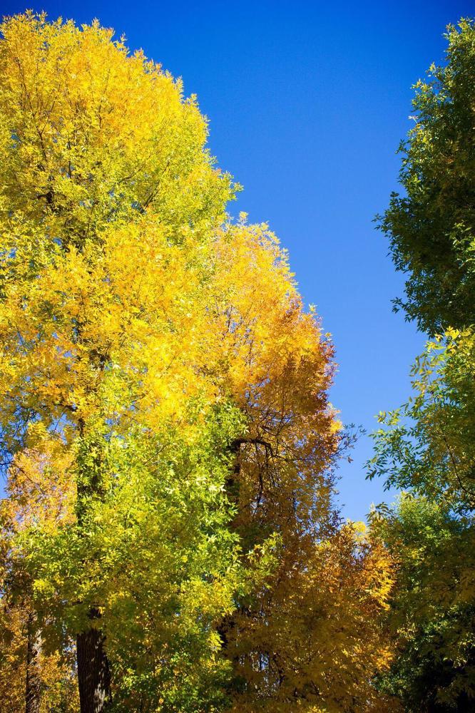 Photograph by Оксана Тонкошкурая