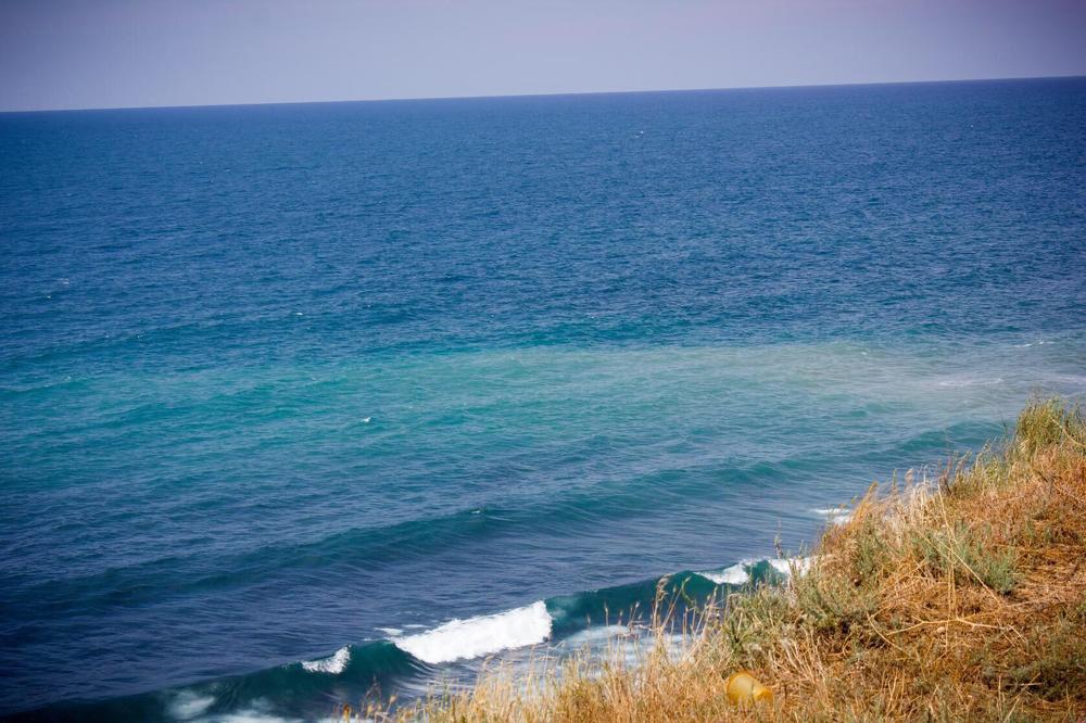 Photograph by Оксана Тонкошкурая