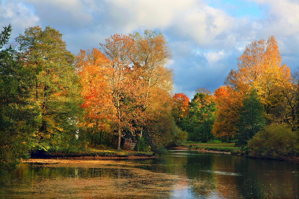 В парке на Елагином острове