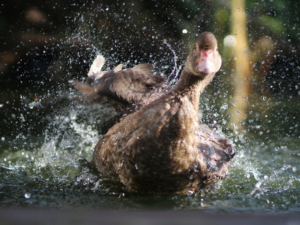 Photograph by Светлана Богомолова