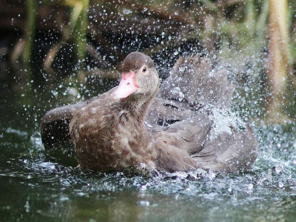 Photograph by Светлана Богомолова
