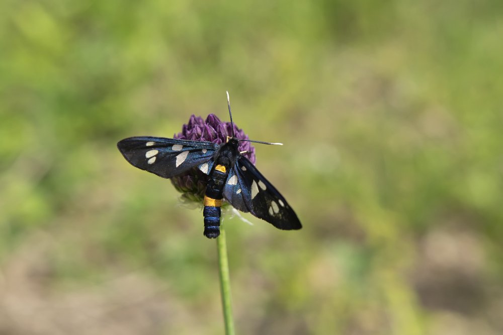 Photograph by Ксения Щербакова