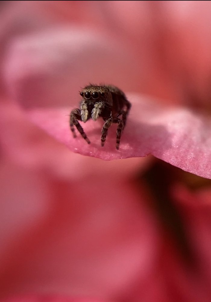 Photograph by Андрей Косяк