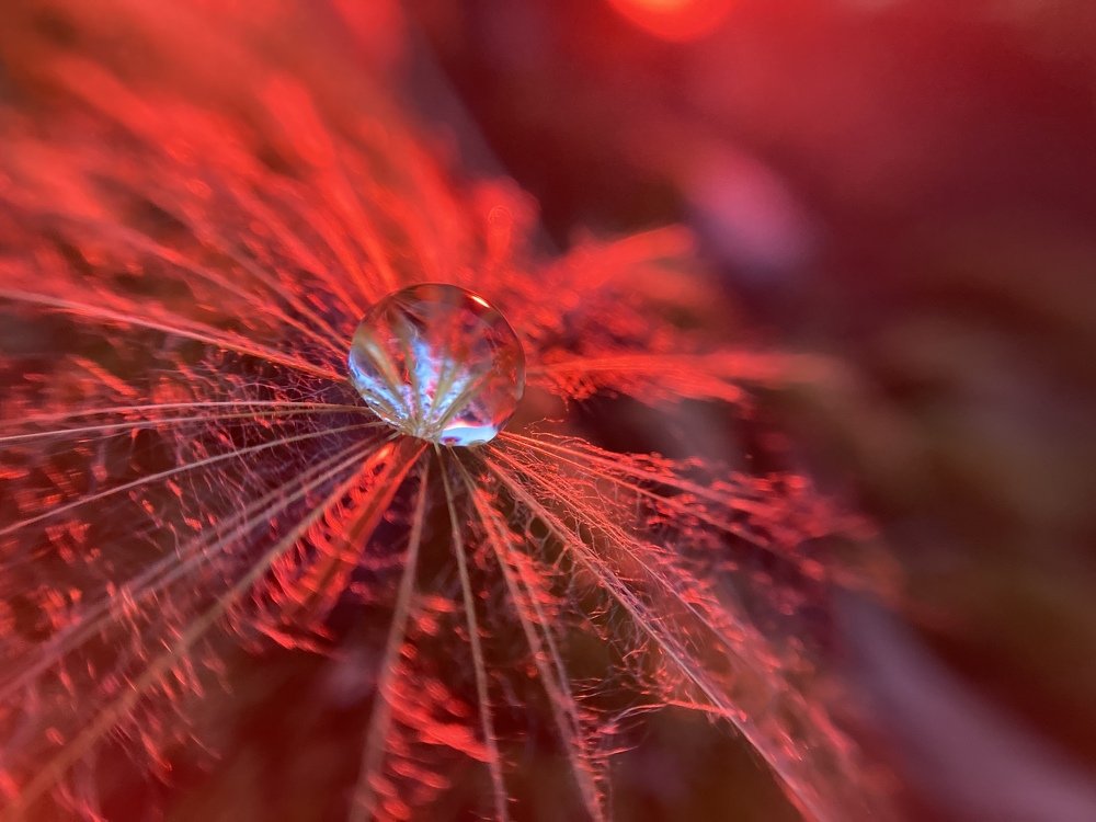 Photograph by Андрей Косяк