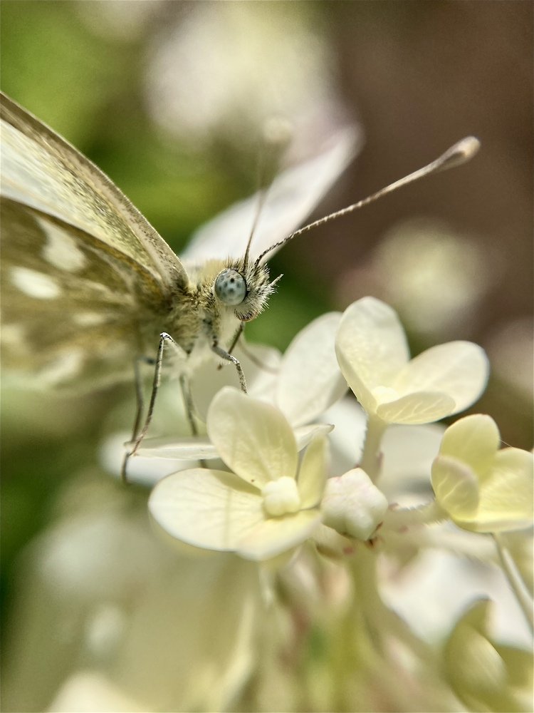 Photograph by Андрей Косяк