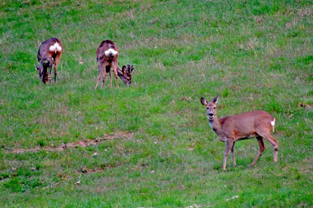 Photograph by Юрий Тихонов