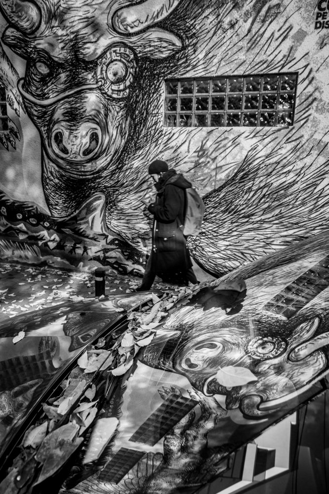 Photograph by Dzintra Zvagina