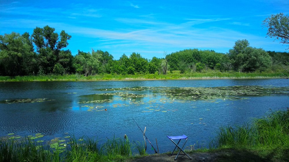 Photograph by Iren Gavrikova