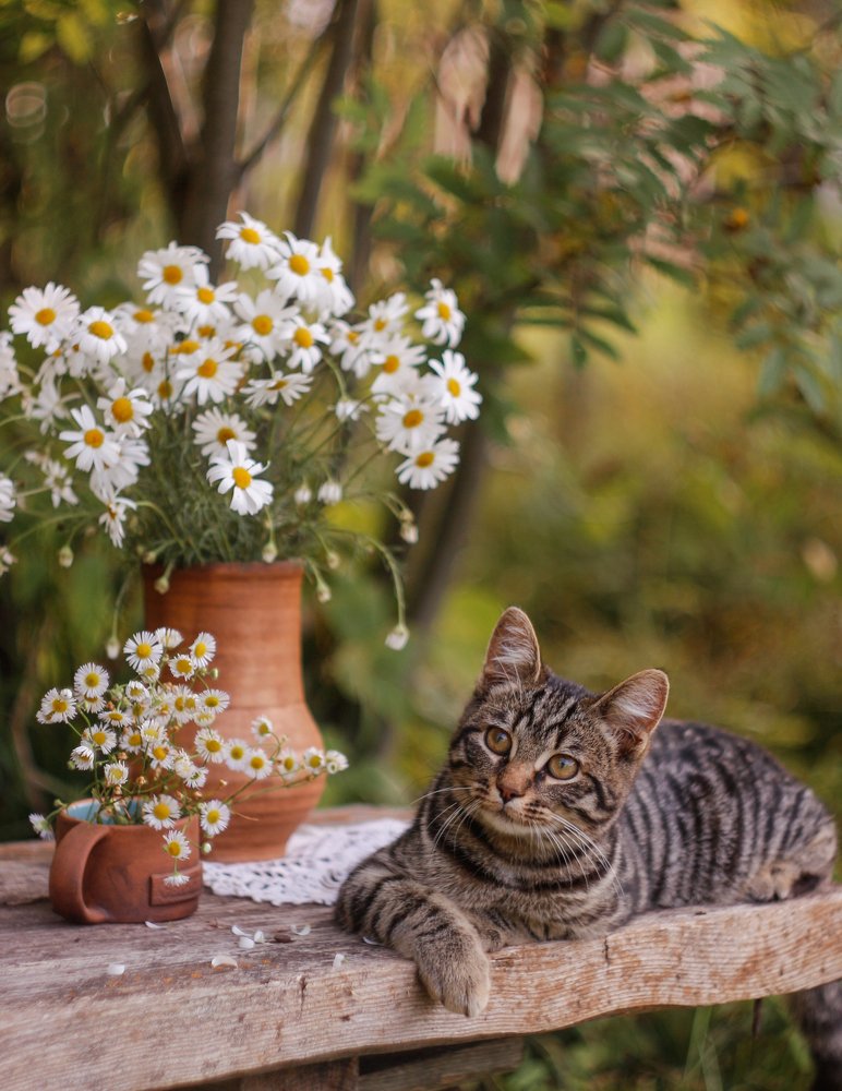 Photograph by Елена Никишина