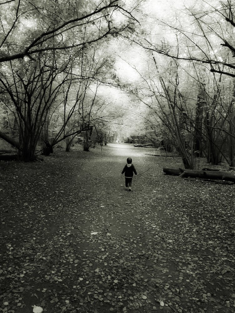 Photograph by Валерий Карпенко