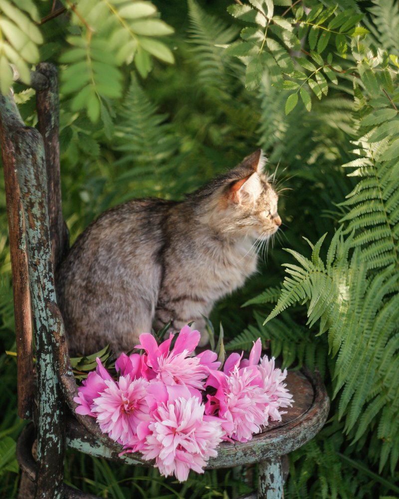 Photograph by Елена Никишина