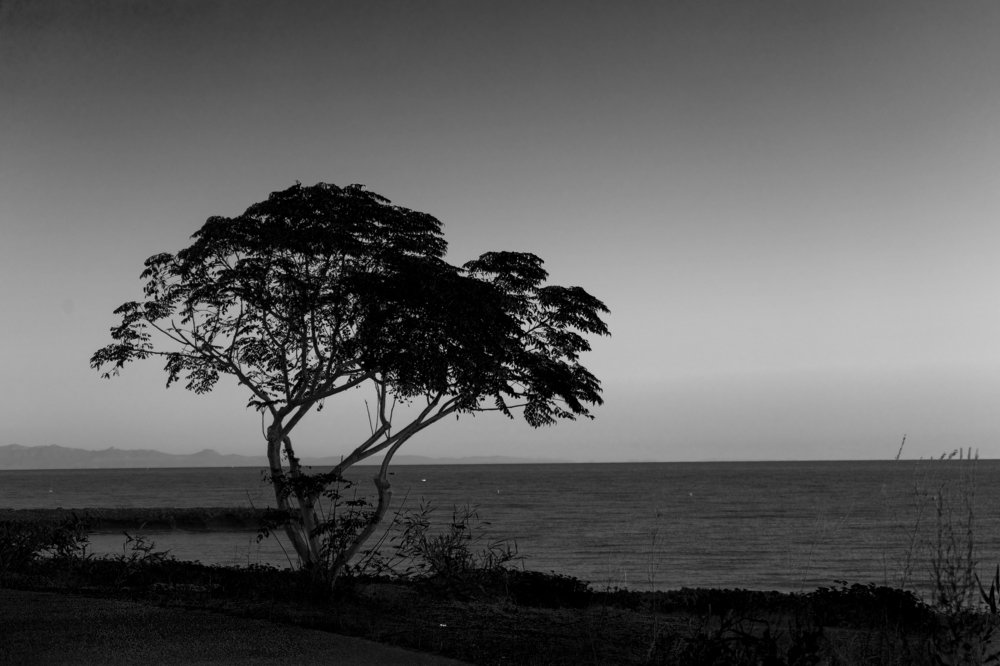 Photograph by Валерий Карпенко