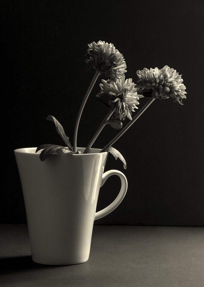 Photograph by Анна