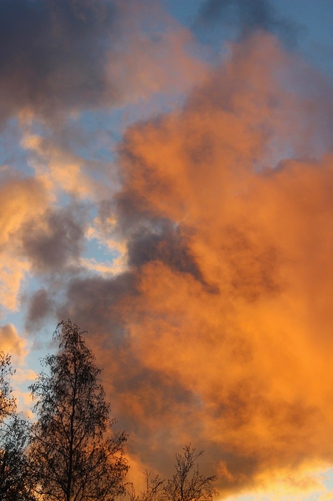 Photograph by Анастасия Племениченко