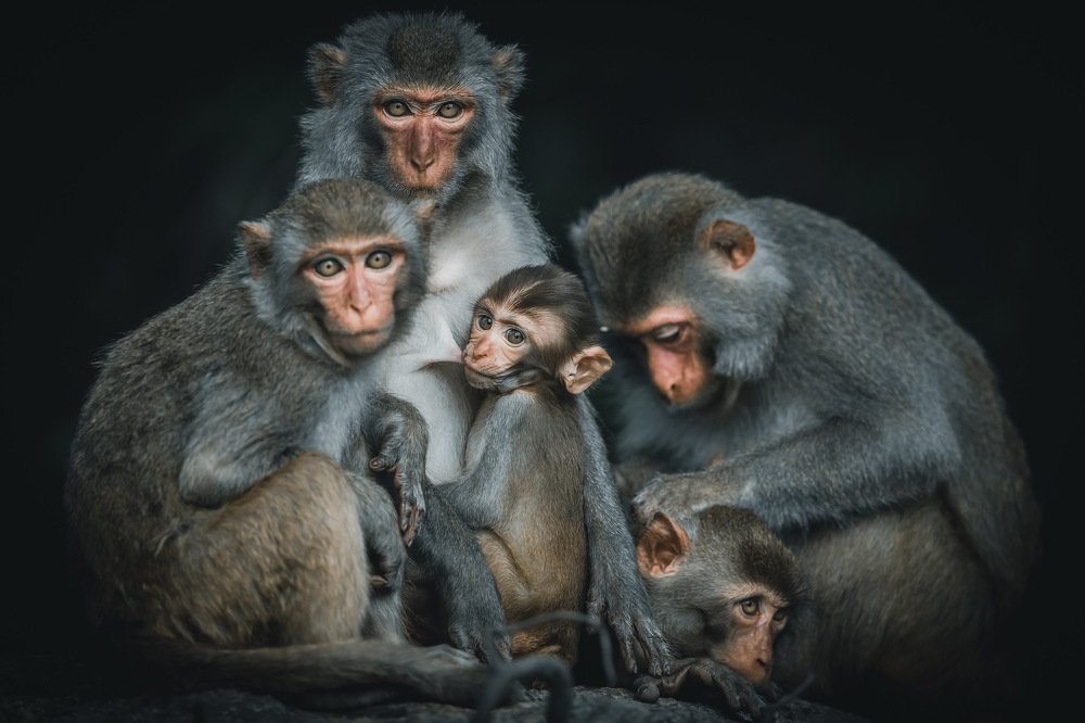 Photograph by Rin Võ