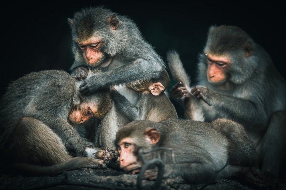 Photograph by Rin Võ