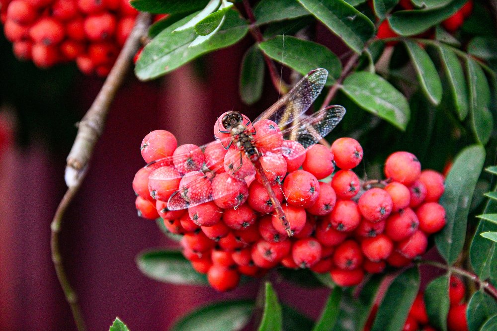 Photograph by Анна Фёдорова