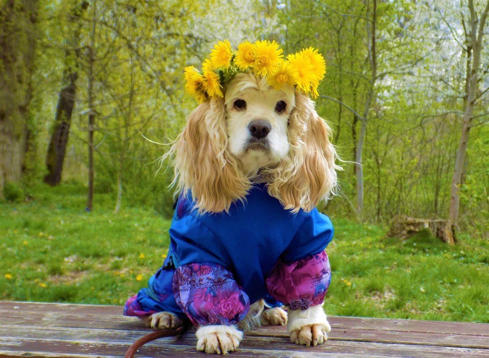 Photograph by Яна Бессонова