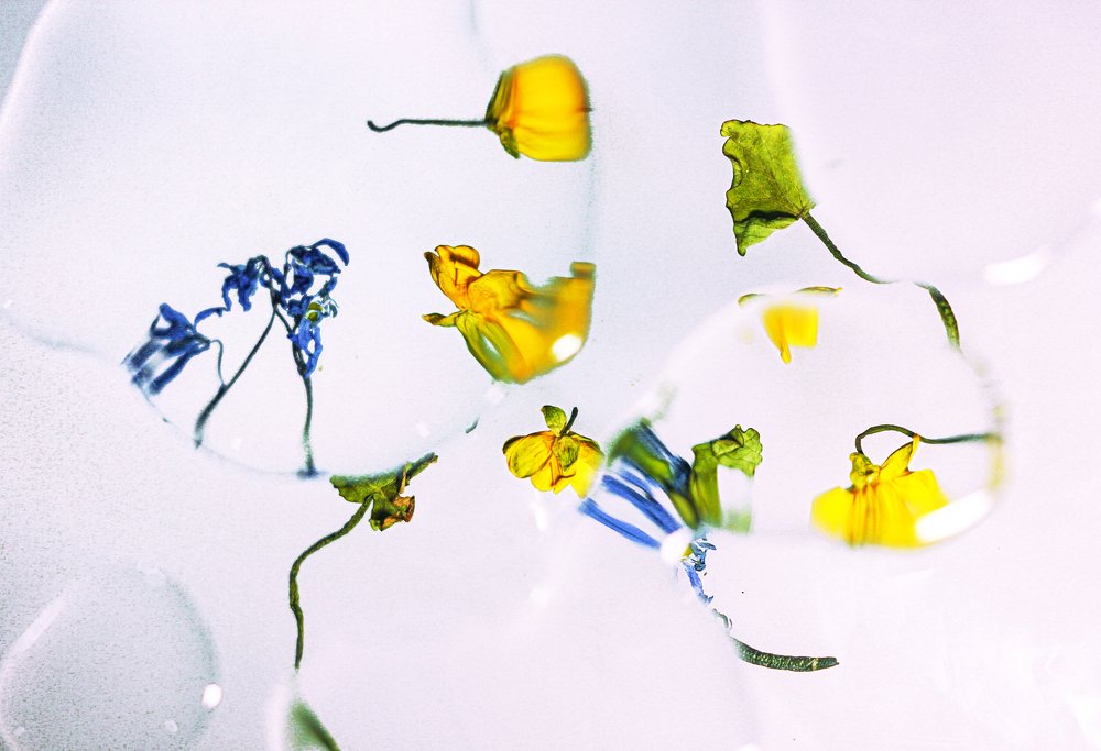 Photograph by Алиса Грюнвальд