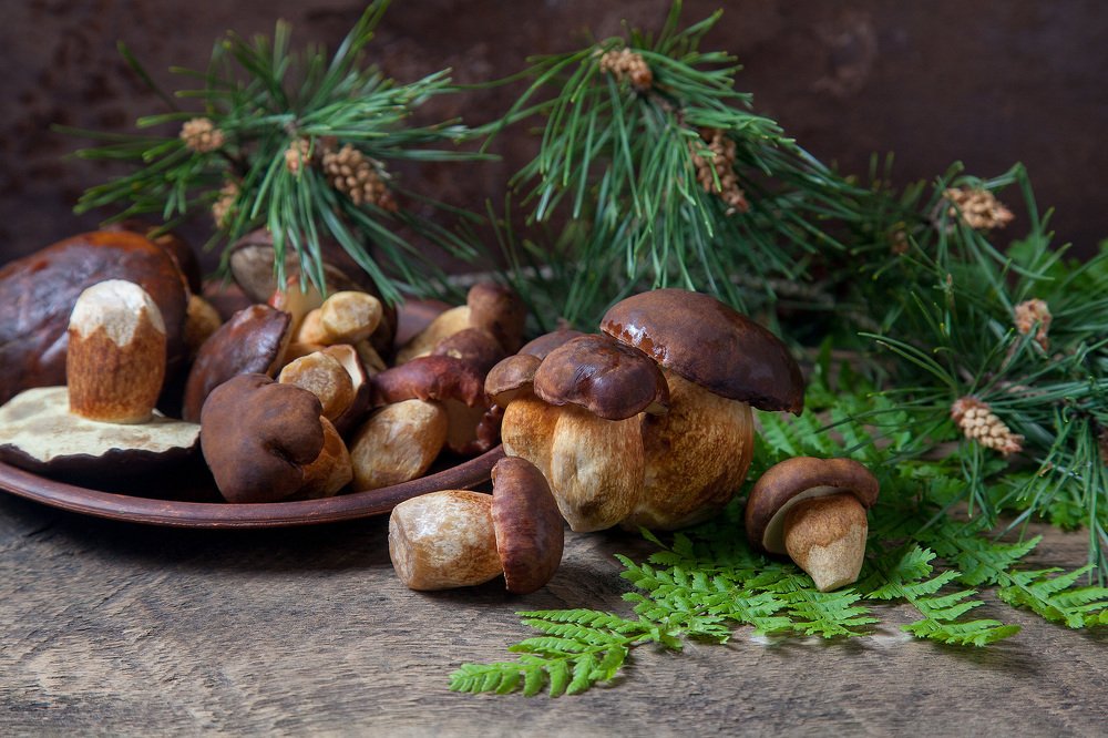 Photograph by Кравченко Константин