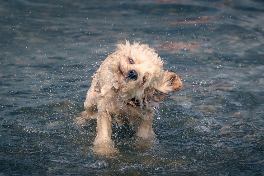 Photograph by Valentin Okulov