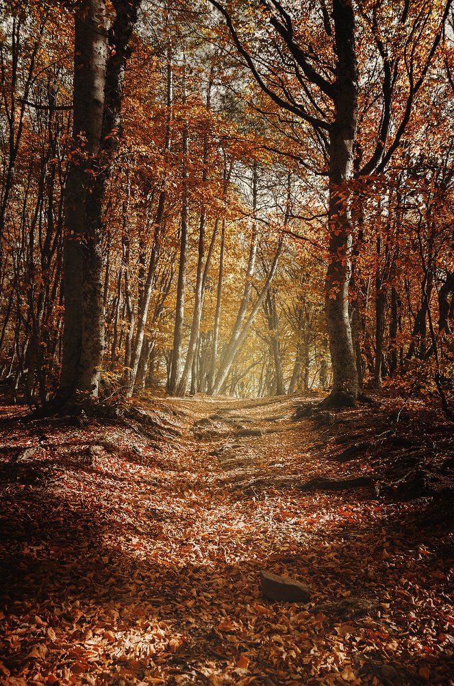 Photograph by Dmitry Borisenko