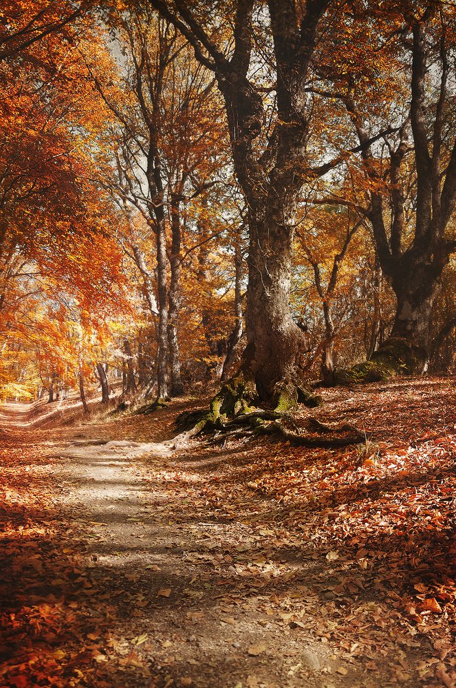 Photograph by Dmitry Borisenko