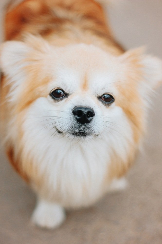 Photograph by Алиса Грюнвальд