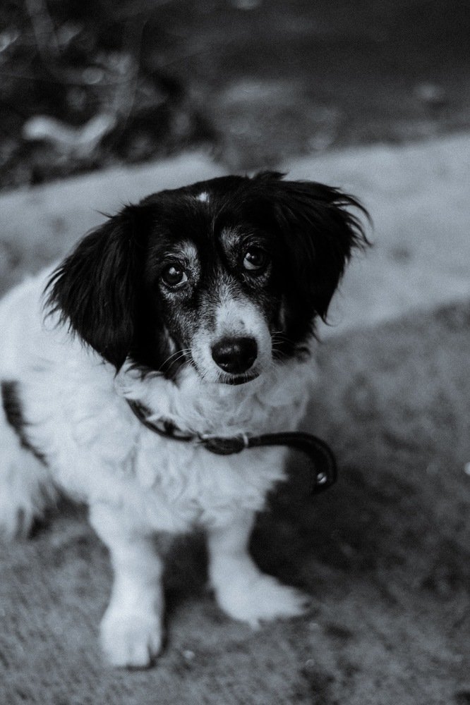 Photograph by Алиса Грюнвальд