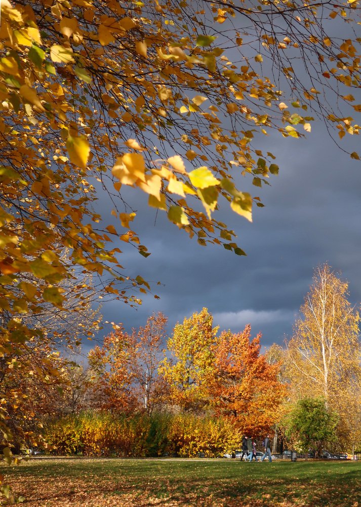 Photograph by Ольга Стоун