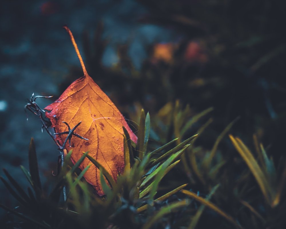 Photograph by Юлия Ключик