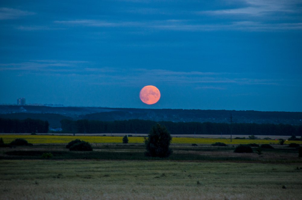 Photograph by Павел Хмелёв