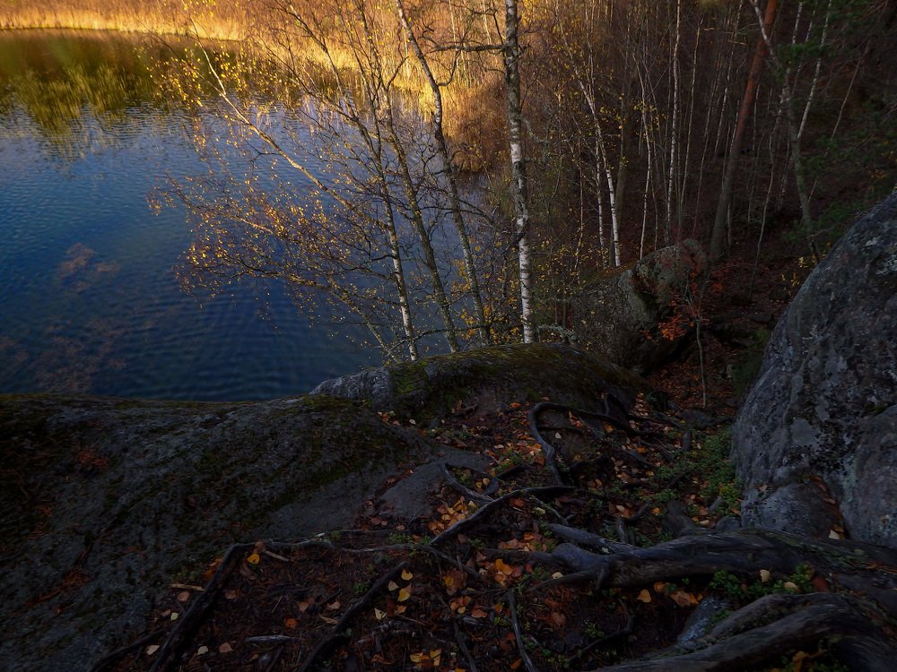 Рассвет на озере Светлое
