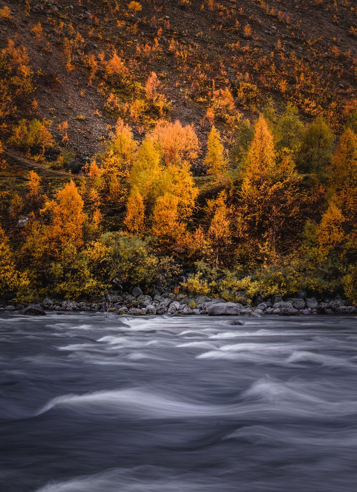 Photograph by Денис Абрамов