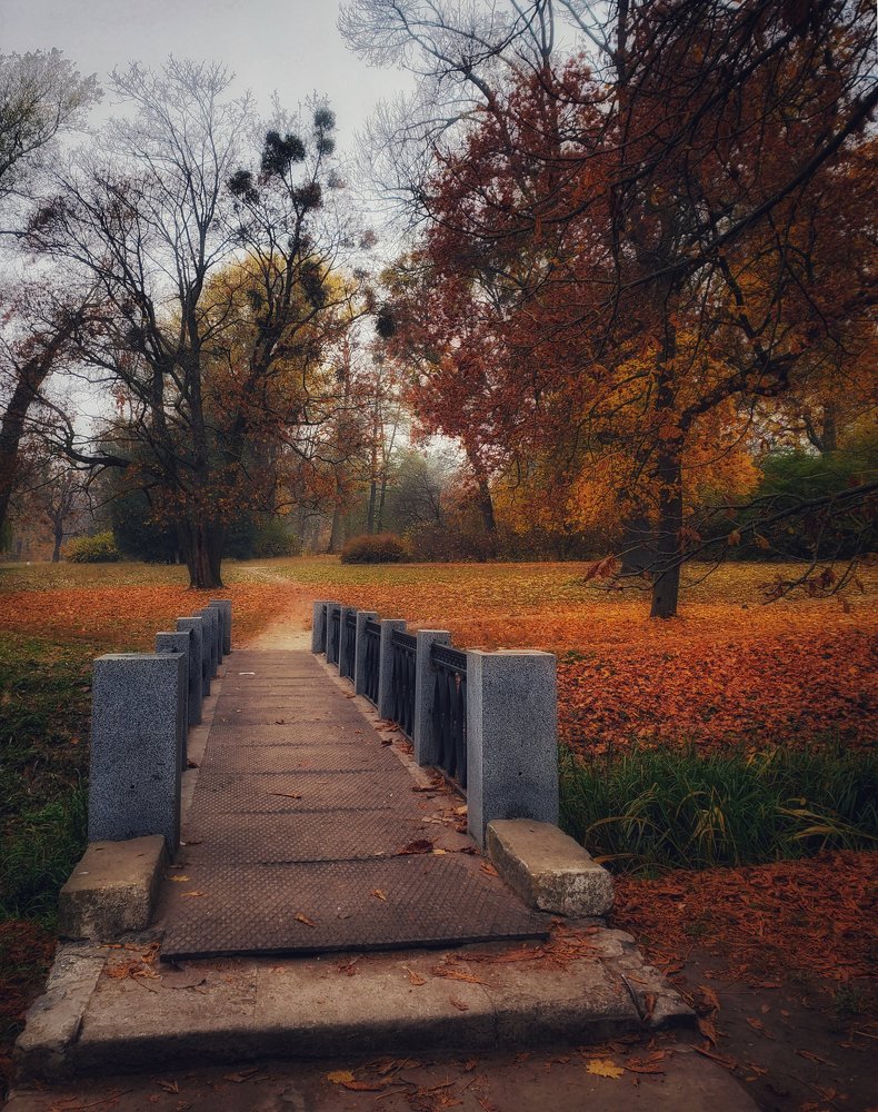 Photograph by Лилия Корж